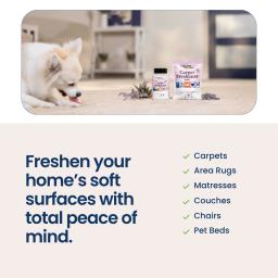 Freshen your home's soft surfaces with total peace of mind. Carpets, area rugs, mattresses, couches, chairs, pet beds.
