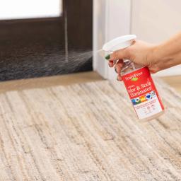 Truly Free Home Odor & Stain Eliminator: plant-derived spray targets and neutralizes odors while lifting stains.