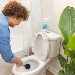 Truly Free Home Toilet Bowl Cleaner: spray on toilet, scrub remove stains and bacteria, and flush.