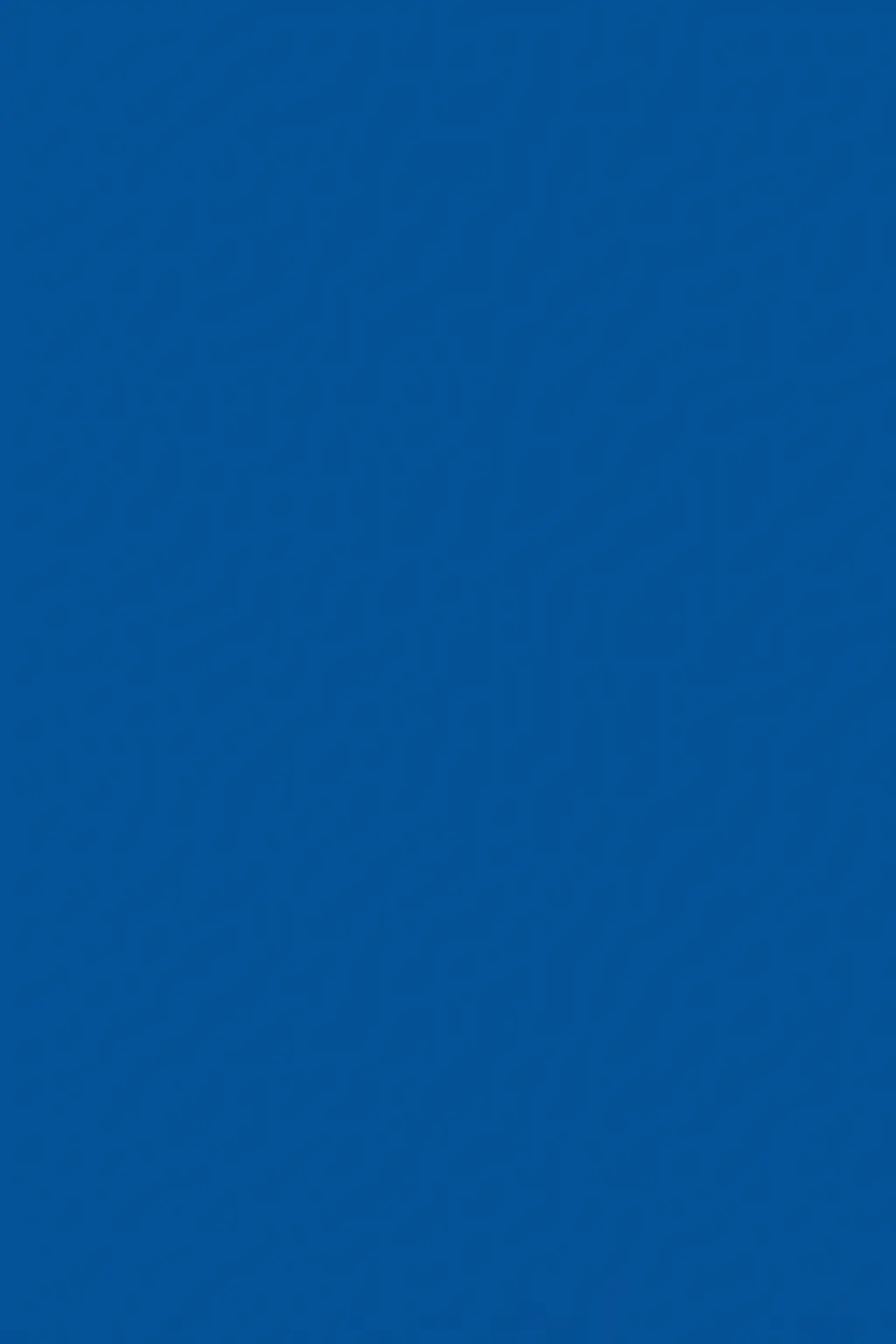 Stain Removal & Treatment Category
